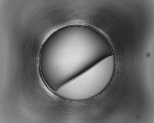 X0000116011383200911191227