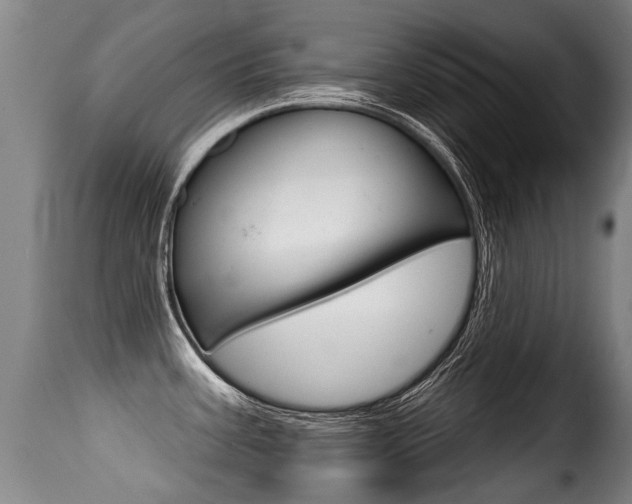 X0000116011387200911191227