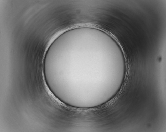 X0000116011389200911191227