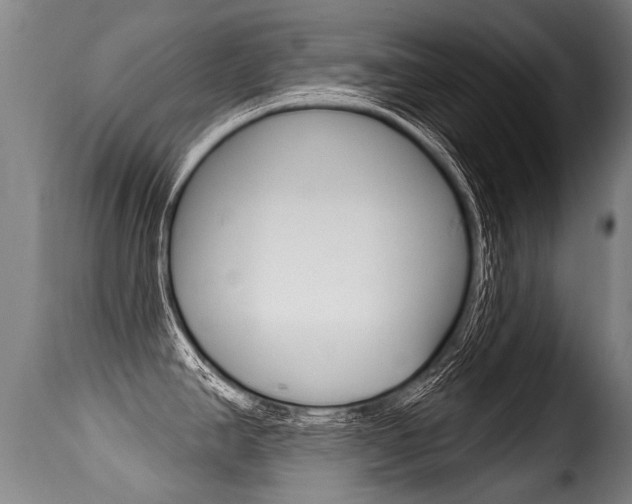 X0000116011390200911191227