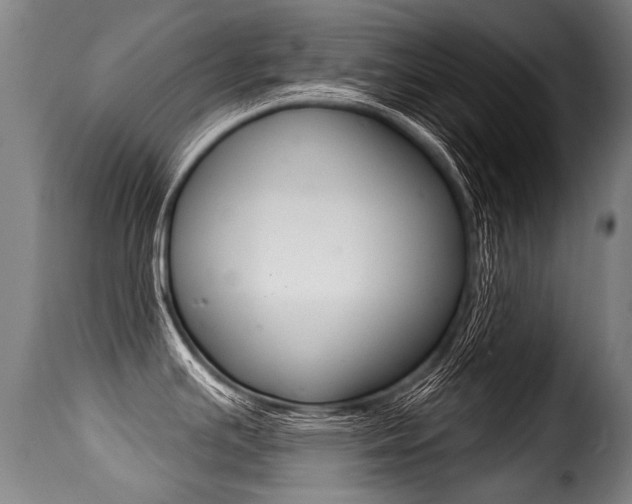 X0000116011391200911191227