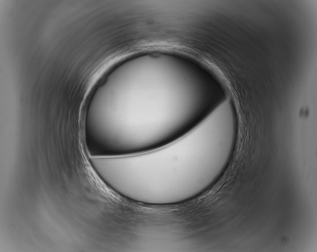 X0000116011392200911191227
