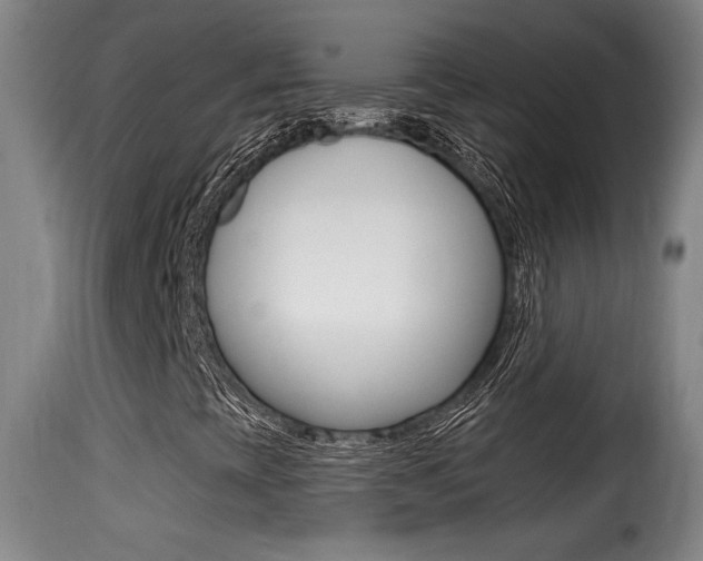 X0000116011393200911191226