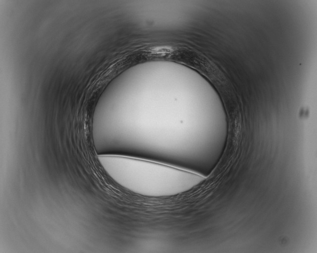X0000116011394200911191226