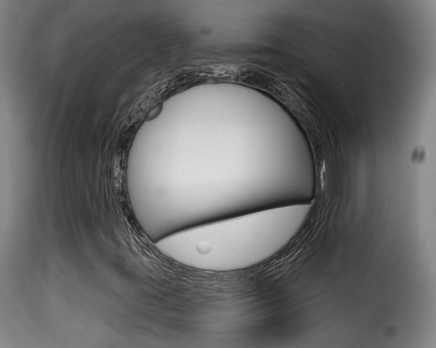 X0000116011395200911191226