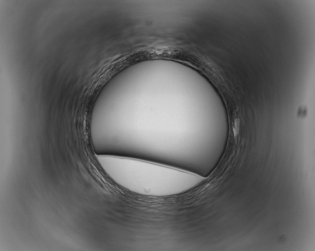 X0000116011396200911191226