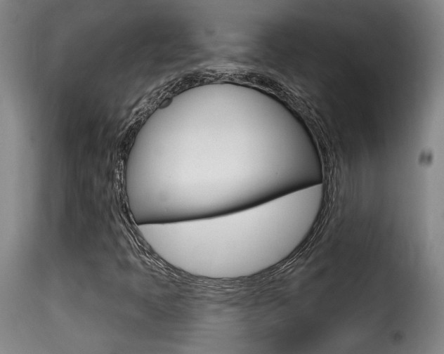 X0000116011397200911191226