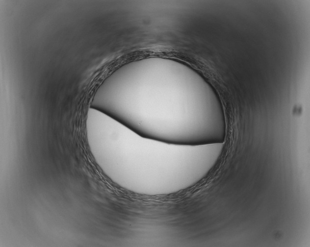 X0000116011398200911191227
