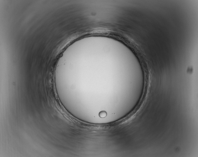 X0000116011401200911191227