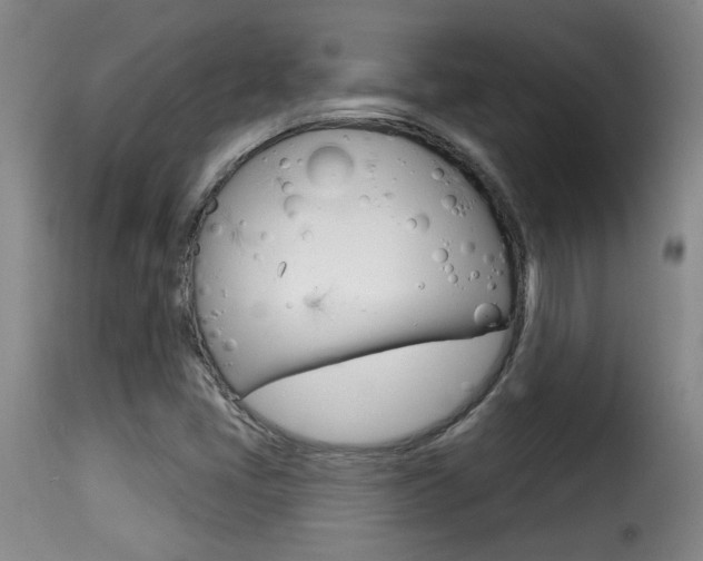 X0000116011405200911191227