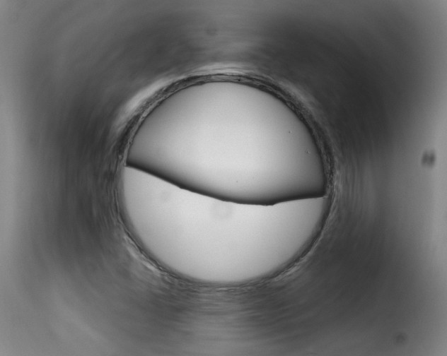 X0000116011406200911191227