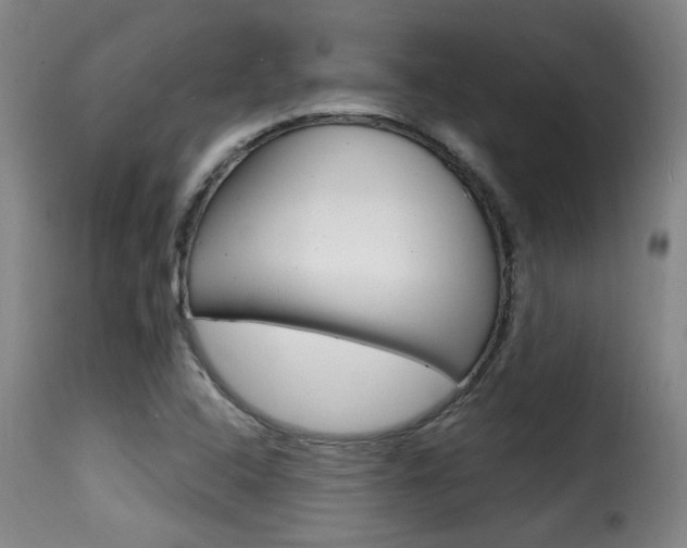 X0000116011408200911191227