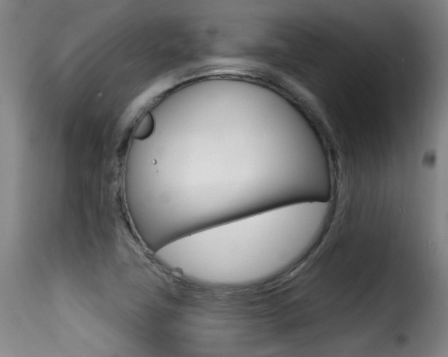 X0000116011411200911191227