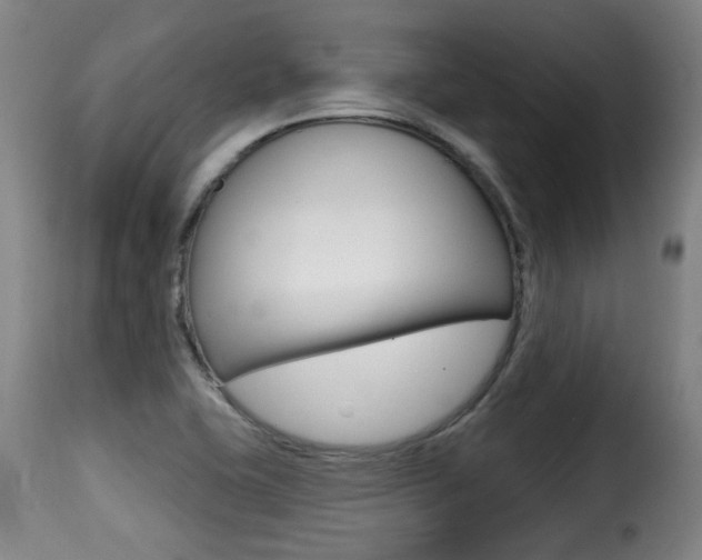 X0000116011415200911191227