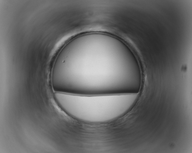 X0000116011416200911191227