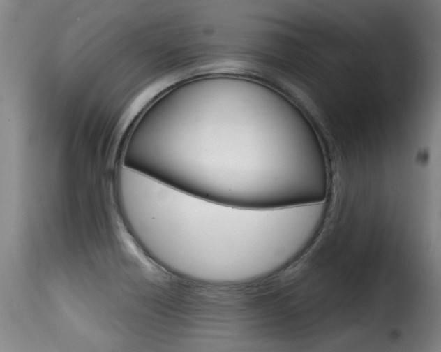 X0000116011418200911191227