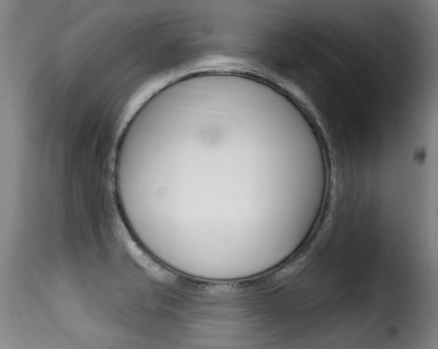 X0000116011421200911191227