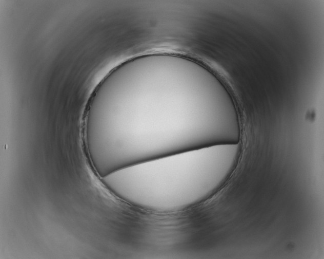 X0000116011423200911191227