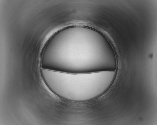 X0000116011424200911191227