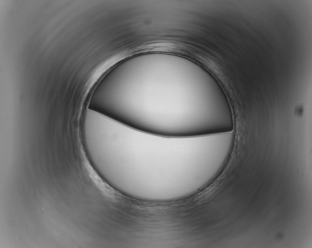 X0000116011426200911191227