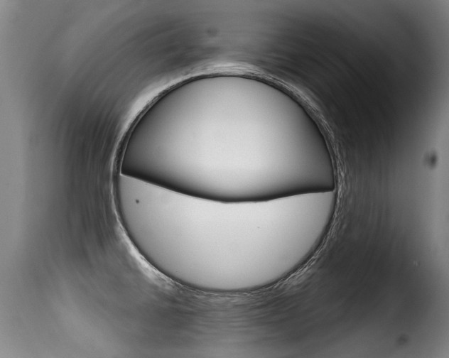 X0000116011430200911191227