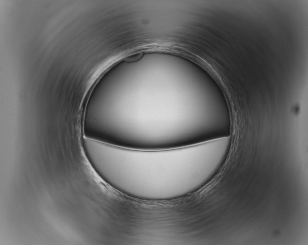 X0000116011434200911191227