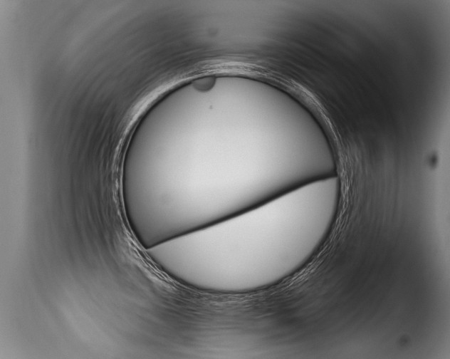 X0000116011435200911191227