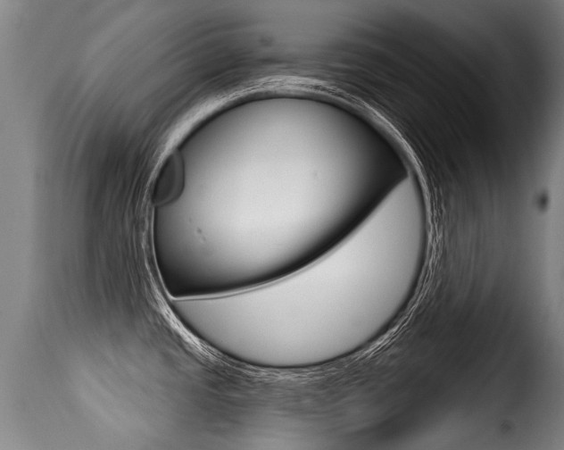 X0000116011437200911191227