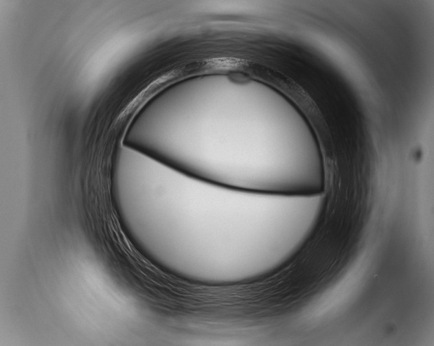X0000116011438200911191227