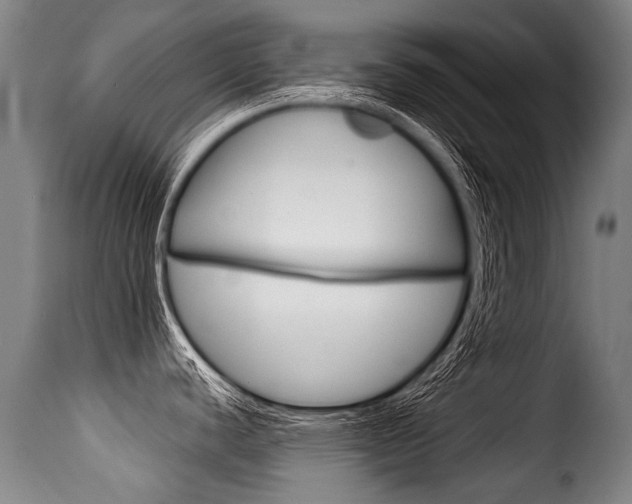 X0000116011440200911191227