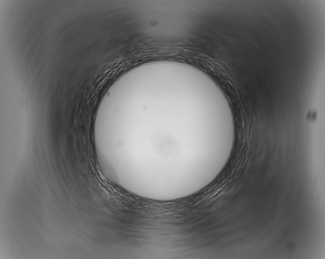 X0000116011441200911191226