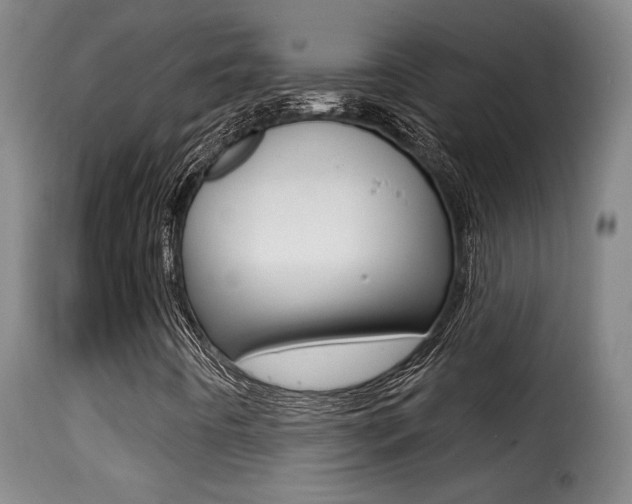 X0000116011442200911191226