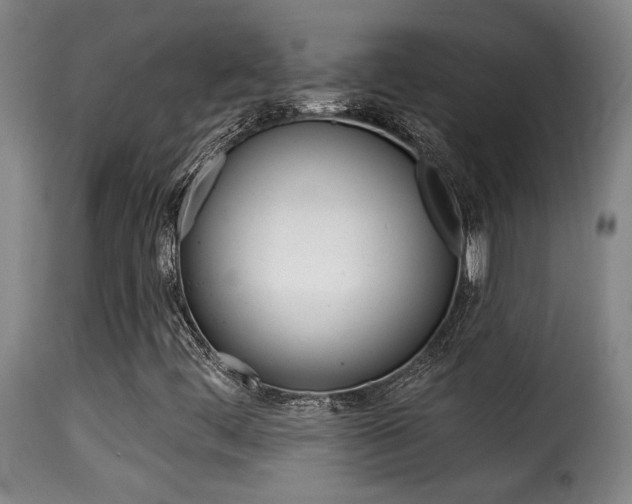 X0000116011444200911191226