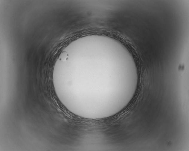 X0000116011445200911191226