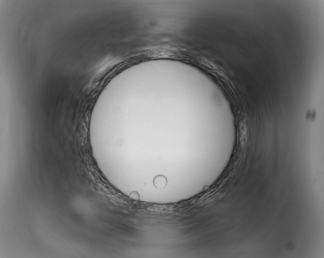 X0000116011446200911191226