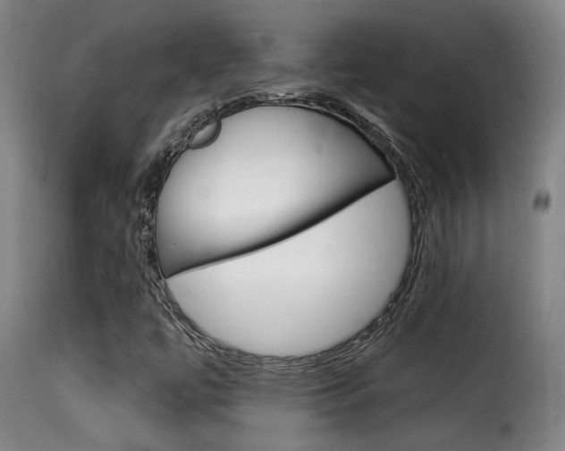 X0000116011447200911191226