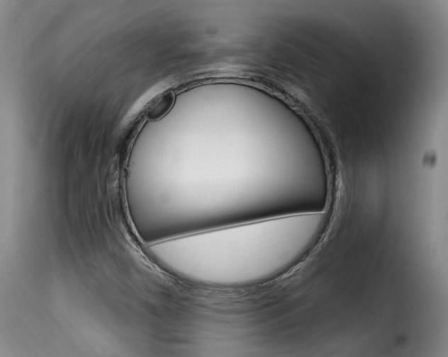 X0000116011450200911191226