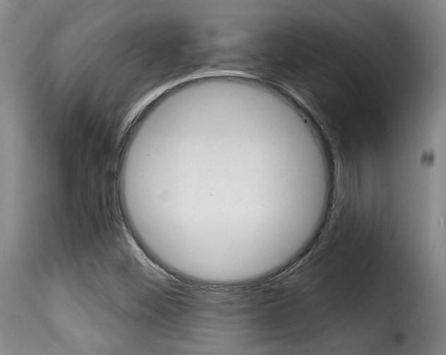 X0000116011452200911191226
