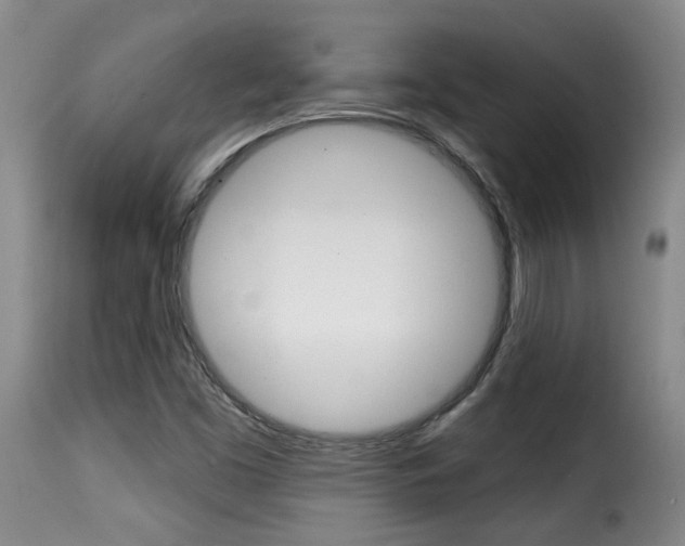 X0000116011453200911191226