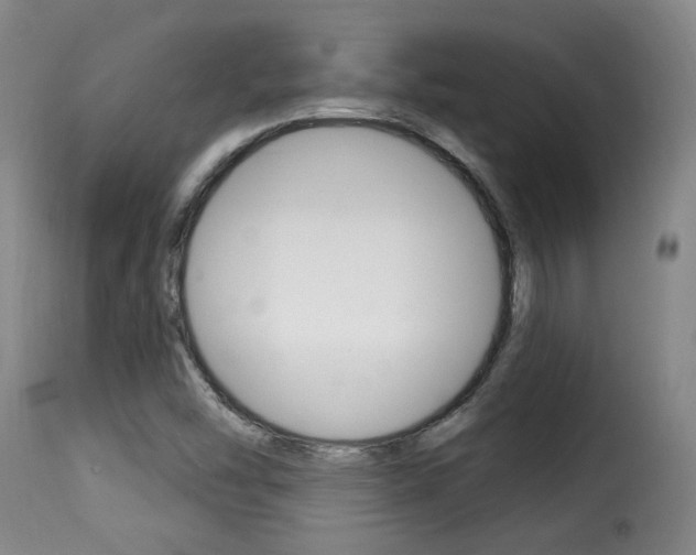 X0000116011454200911191226
