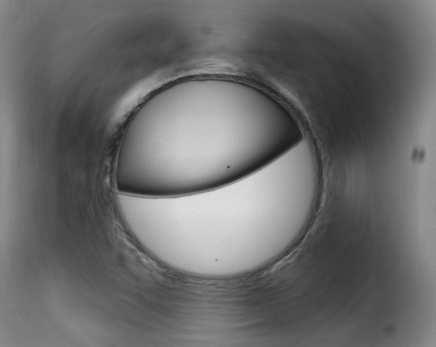 X0000116011455200911191226