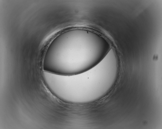 X0000116011456200911191226