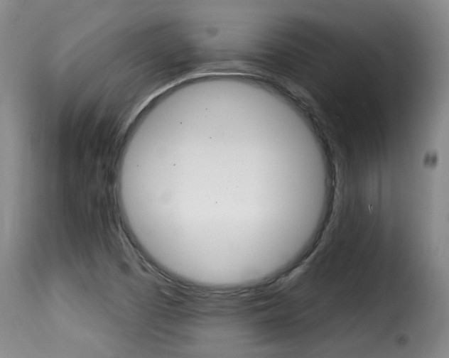 X0000116011457200911191226