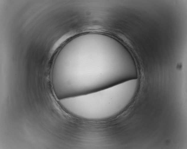 X0000116011458200911191226