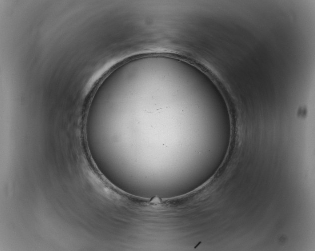 X0000116011460200911191226