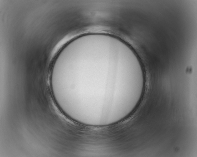 X0000116011462200911191226