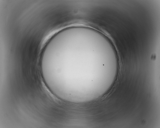X0000116011464200911191226