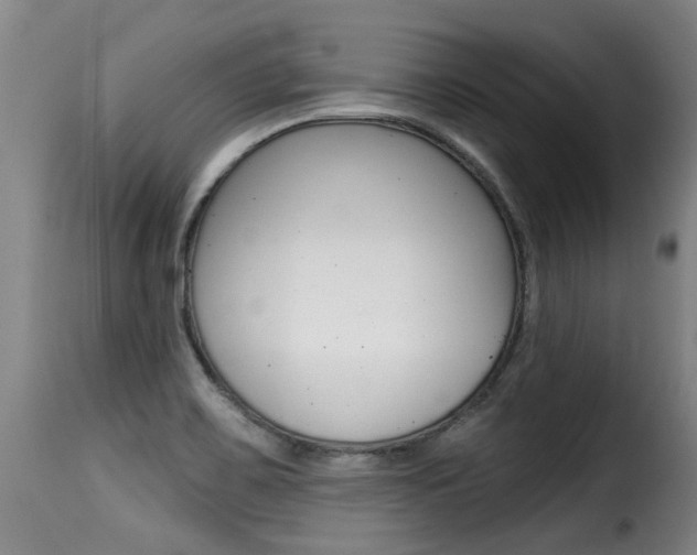 X0000116011467200911191226