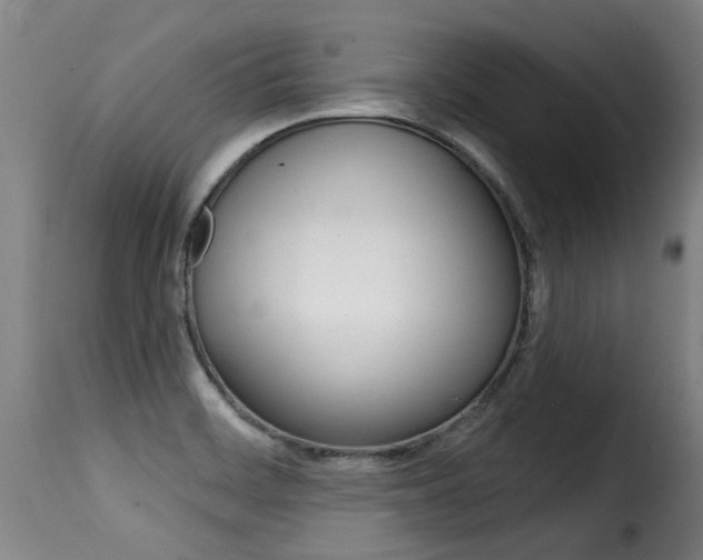 X0000116011468200911191226