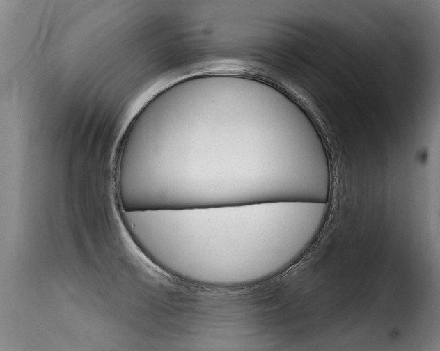X0000116011475200911191226